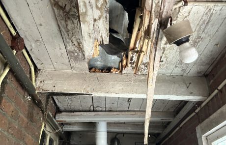 dakdekker, dakspecialist