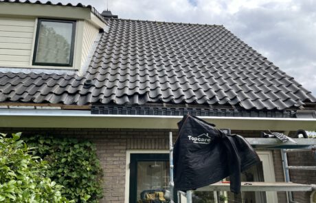 pannendak, dakdekken