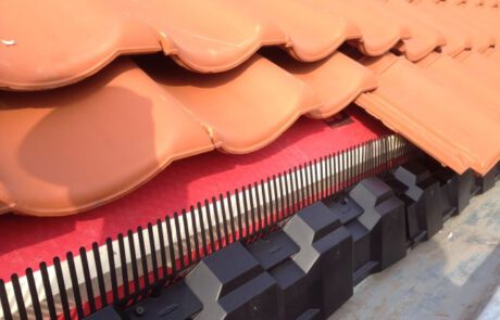 vogeloverlast, vogelschade, vogelwering