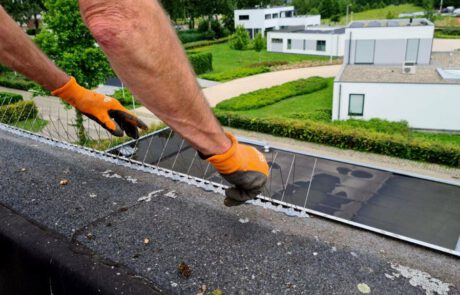 vogeloverlast, dak overlast, vogelwering